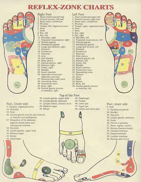 Reflexologie